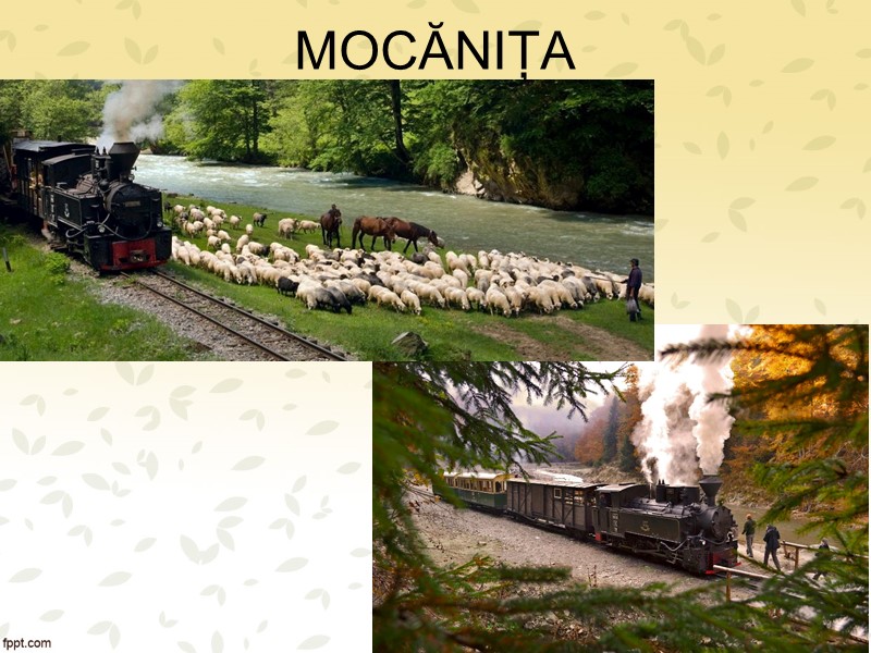 Mocănița
